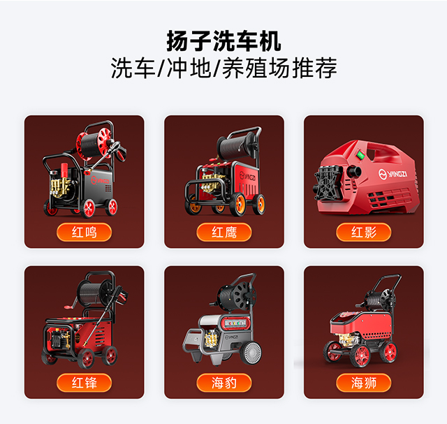 揚(yáng)子洗車機(jī)